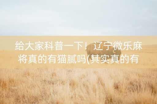 给大家科普一下！辽宁微乐麻将真的有猫腻吗(其实真的有挂)