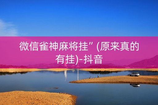微信雀神麻将挂”(原来真的有挂)-抖音
