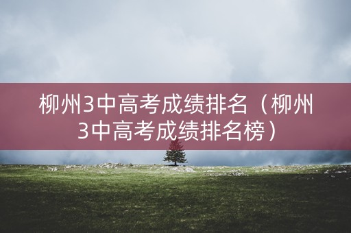 柳州3中高考成绩排名（柳州3中高考成绩排名榜）
