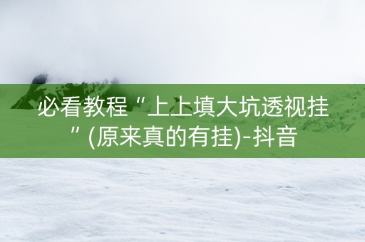必看教程“上上填大坑透视挂”(原来真的有挂)-抖音