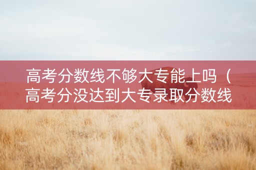 高考分数线不够大专能上吗（高考分没达到大专录取分数线能被录取吗）