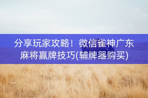 分享玩家攻略！微信雀神广东麻将赢牌技巧(辅牌器购买)