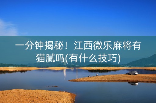 一分钟揭秘！江西微乐麻将有猫腻吗(有什么技巧)
