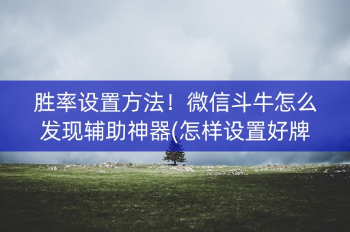 胜率设置方法！微信斗牛怎么发现辅助神器(怎样设置好牌)