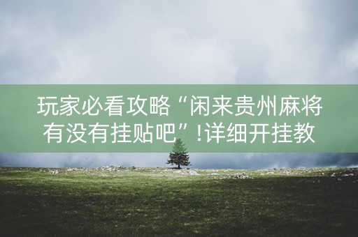 玩家必看攻略“闲来贵州麻将有没有挂贴吧”!详细开挂教程-抖音