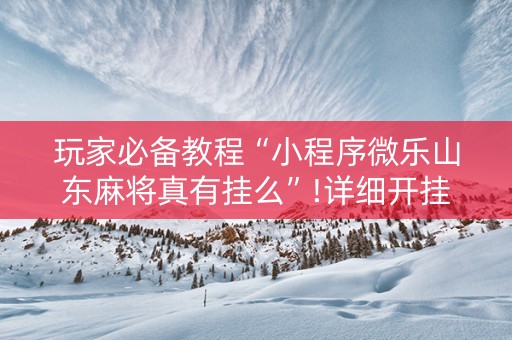 玩家必备教程“小程序微乐山东麻将真有挂么”!详细开挂教程-抖音