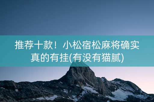 推荐十款！小松宿松麻将确实真的有挂(有没有猫腻)