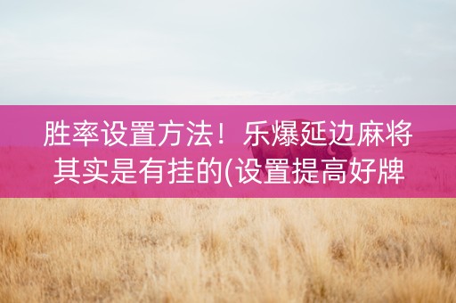 胜率设置方法！乐爆延边麻将其实是有挂的(设置提高好牌几率)