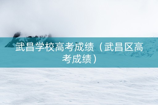 武昌学校高考成绩（武昌区高考成绩）