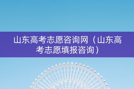 山东高考志愿咨询网（山东高考志愿填报咨询）