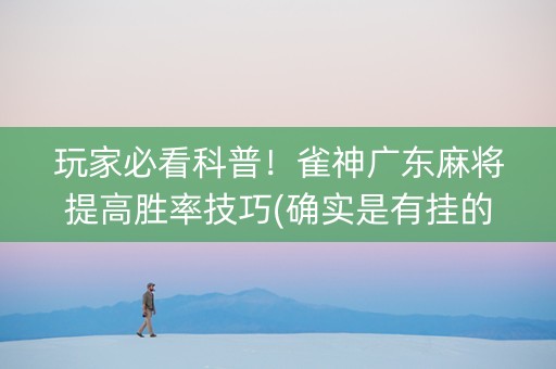 玩家必看科普！雀神广东麻将提高胜率技巧(确实是有挂的)