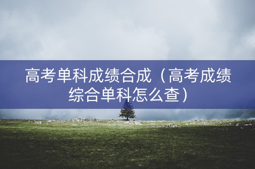 高考单科成绩合成（高考成绩综合单科怎么查）