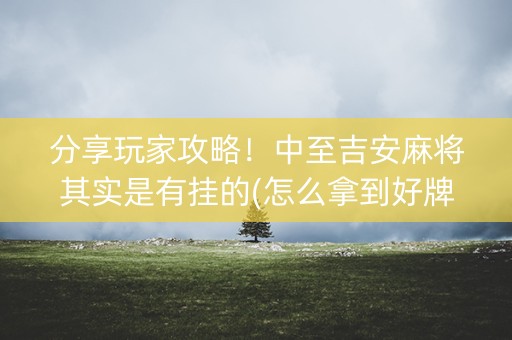 分享玩家攻略！中至吉安麻将其实是有挂的(怎么拿到好牌)
