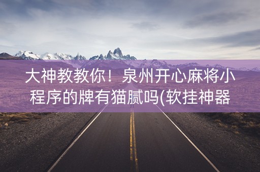 大神教教你！泉州开心麻将小程序的牌有猫腻吗(软挂神器)