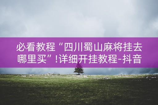 必看教程“四川蜀山麻将挂去哪里买”!详细开挂教程-抖音