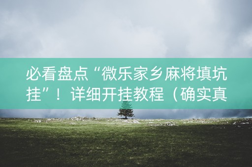必看盘点“微乐家乡麻将填坑挂”！详细开挂教程（确实真的有挂)-抖音