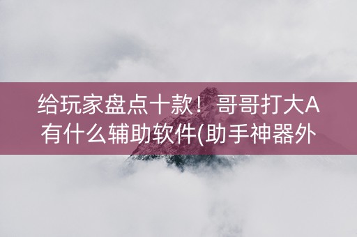 给玩家盘点十款！哥哥打大A有什么辅助软件(助手神器外辅工具)