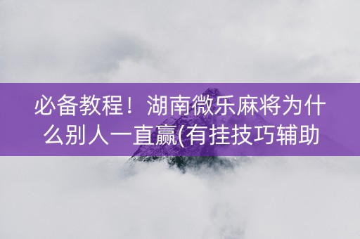 必备教程！湖南微乐麻将为什么别人一直赢(有挂技巧辅助器)