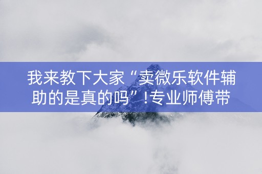 我来教下大家“卖微乐软件辅助的是真的吗”!专业师傅带你一起了解（详细教程）-抖音