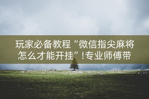 玩家必备教程“微信指尖麻将怎么才能开挂”!专业师傅带你一起了解（详细教程）-抖音