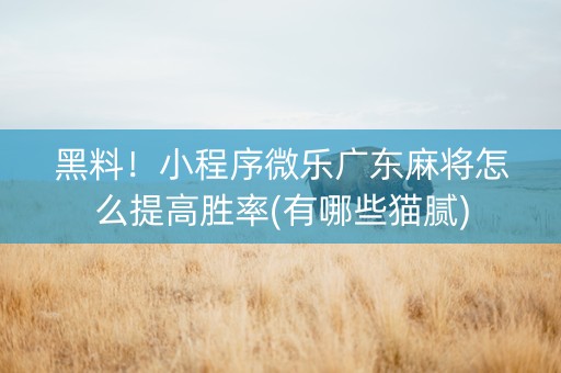 黑料！小程序微乐广东麻将怎么提高胜率(有哪些猫腻)