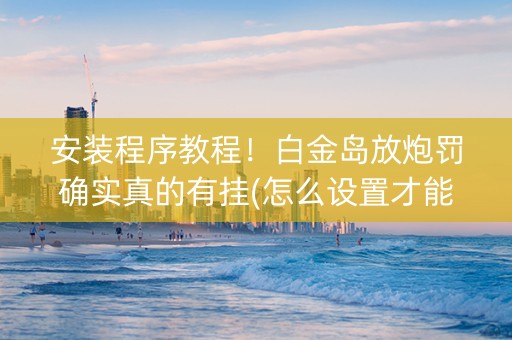 安装程序教程！白金岛放炮罚确实真的有挂(怎么设置才能赢)