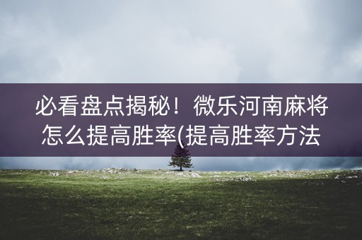 必看盘点揭秘！微乐河南麻将怎么提高胜率(提高胜率方法)
