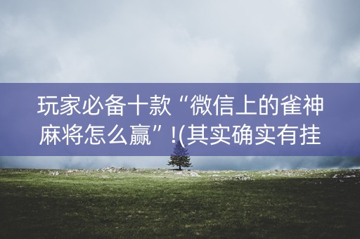 玩家必备十款“微信上的雀神麻将怎么赢”!(其实确实有挂)-抖音