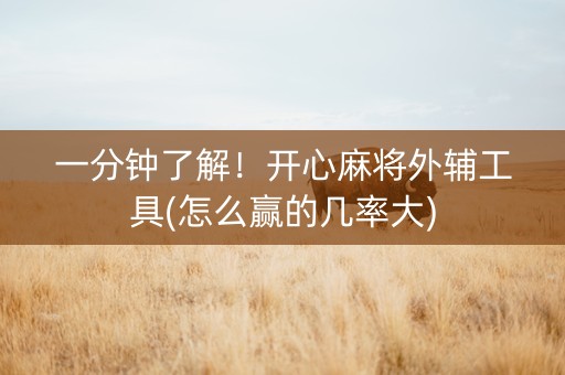 一分钟了解！开心麻将外辅工具(怎么赢的几率大)
