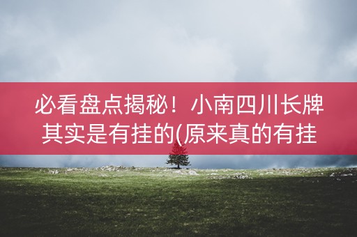 必看盘点揭秘！小南四川长牌其实是有挂的(原来真的有挂)