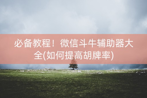 必备教程！微信斗牛辅助器大全(如何提高胡牌率)