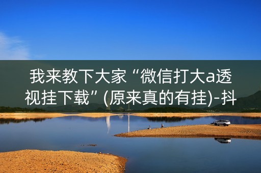 我来教下大家“微信打大a透视挂下载”(原来真的有挂)-抖音