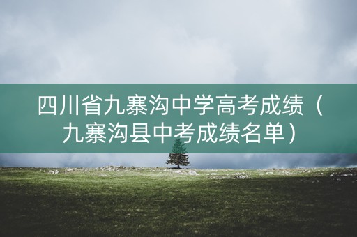 四川省九寨沟中学高考成绩（九寨沟县中考成绩名单）