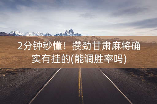 2分钟秒懂！攒劲甘肃麻将确实有挂的(能调胜率吗)