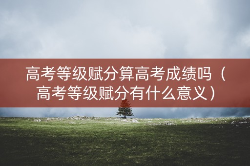 高考等级赋分算高考成绩吗（高考等级赋分有什么意义）