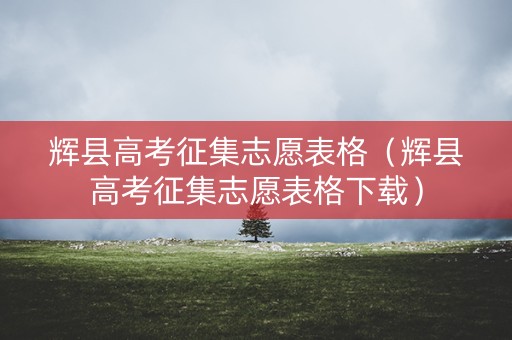 辉县高考征集志愿表格（辉县高考征集志愿表格下载）