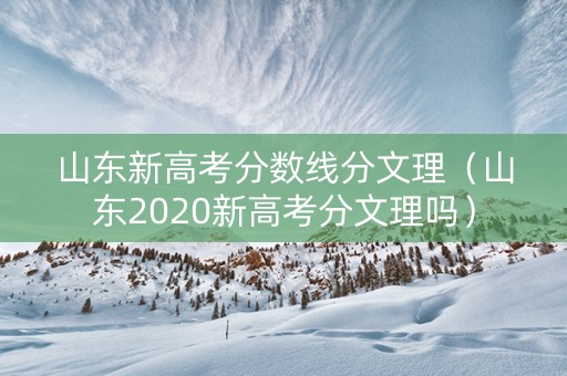 山东新高考分数线分文理（山东2020新高考分文理吗）