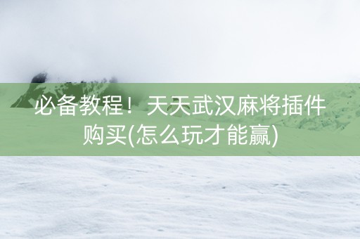 必备教程！天天武汉麻将插件购买(怎么玩才能赢)