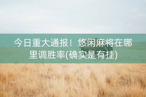 今日重大通报！悠闲麻将在哪里调胜率(确实是有挂)
