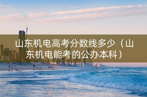山东机电高考分数线多少（山东机电能考的公办本科）