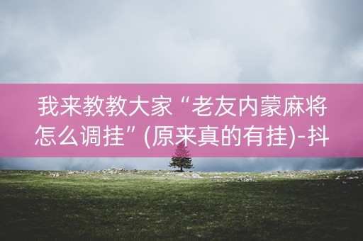 我来教教大家“老友内蒙麻将怎么调挂”(原来真的有挂)-抖音
