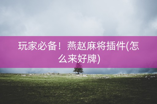 玩家必备！燕赵麻将插件(怎么来好牌)
