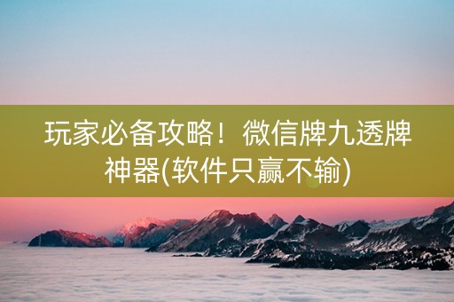玩家必备攻略！微信牌九透牌神器(软件只赢不输)