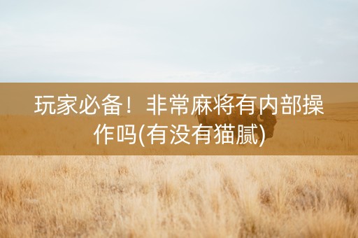 玩家必备！非常麻将有内部操作吗(有没有猫腻)