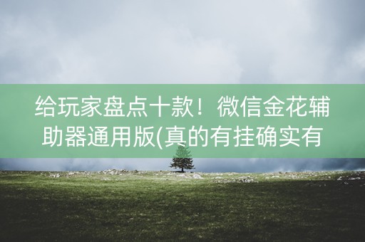 给玩家盘点十款！微信金花辅助器通用版(真的有挂确实有挂)
