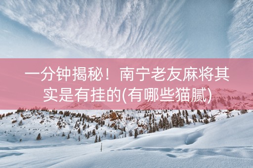 一分钟揭秘！南宁老友麻将其实是有挂的(有哪些猫腻)