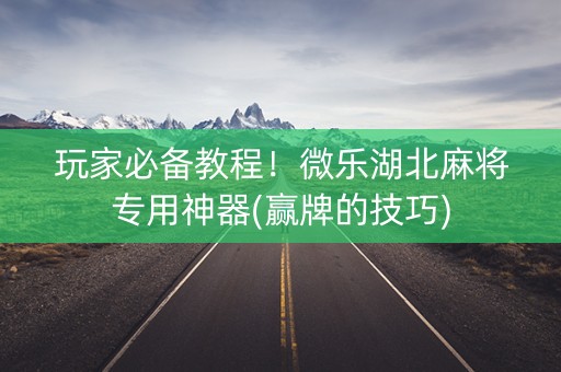 玩家必备教程！微乐湖北麻将专用神器(赢牌的技巧)