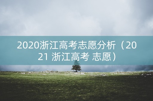 2020浙江高考志愿分析（2021 浙江高考 志愿）
