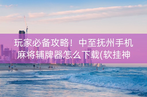 玩家必备攻略！中至抚州手机麻将辅牌器怎么下载(软挂神器)