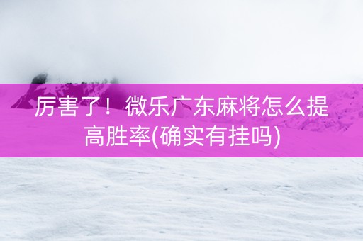 厉害了！微乐广东麻将怎么提高胜率(确实有挂吗)